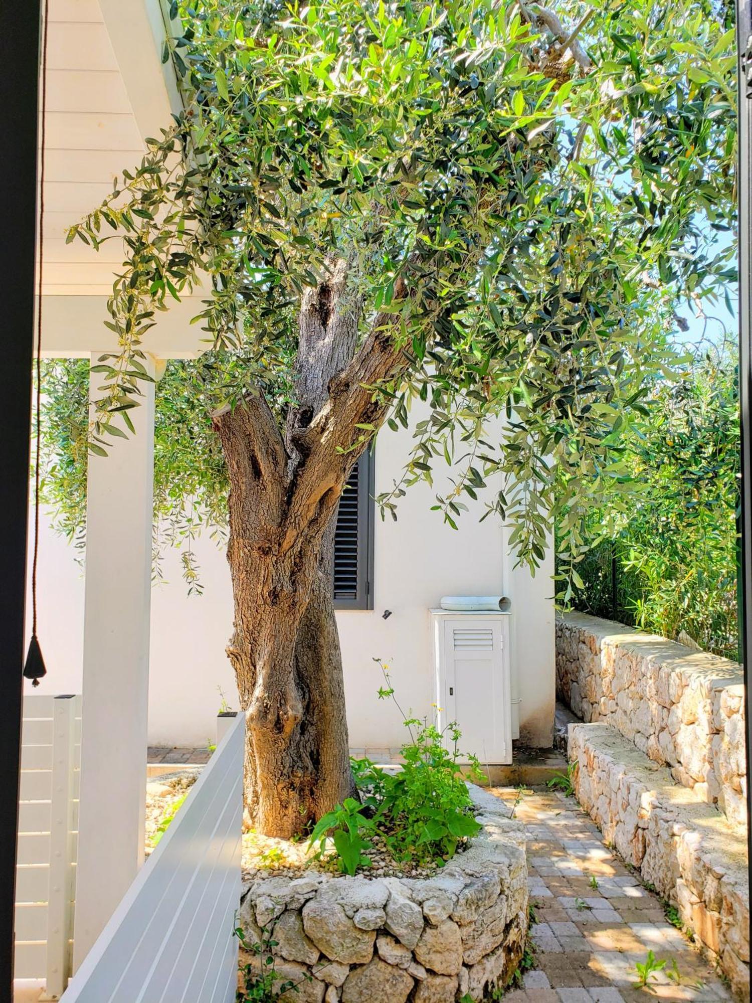 Gargano-manfredi Homes&villas Appartement *